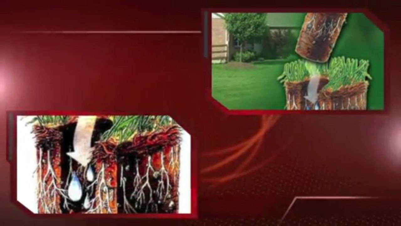 Lawn Aeration Falcon CO-Core-Colorado -Sprinkler-Repair-Blowout-Winterization-Lawncare-lawn-mowing-Springs-CO-719-963-6267-12