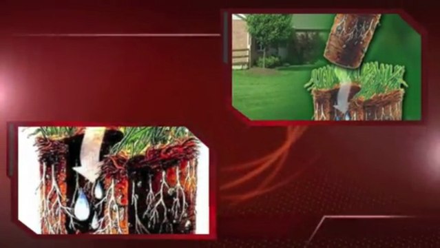 Lawn Aeration Falcon CO-Core-Colorado -Sprinkler-Repair-Blowout-Winterization-Lawncare-lawn-mowing-Springs-CO-719-963-6267-12