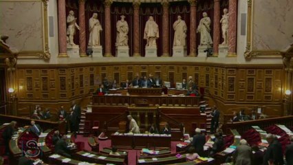Senado da França aprova 1º artigo para casamento gay