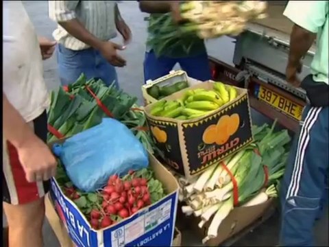 Les seigneurs de la mer : l’or bleu des Kerguelen