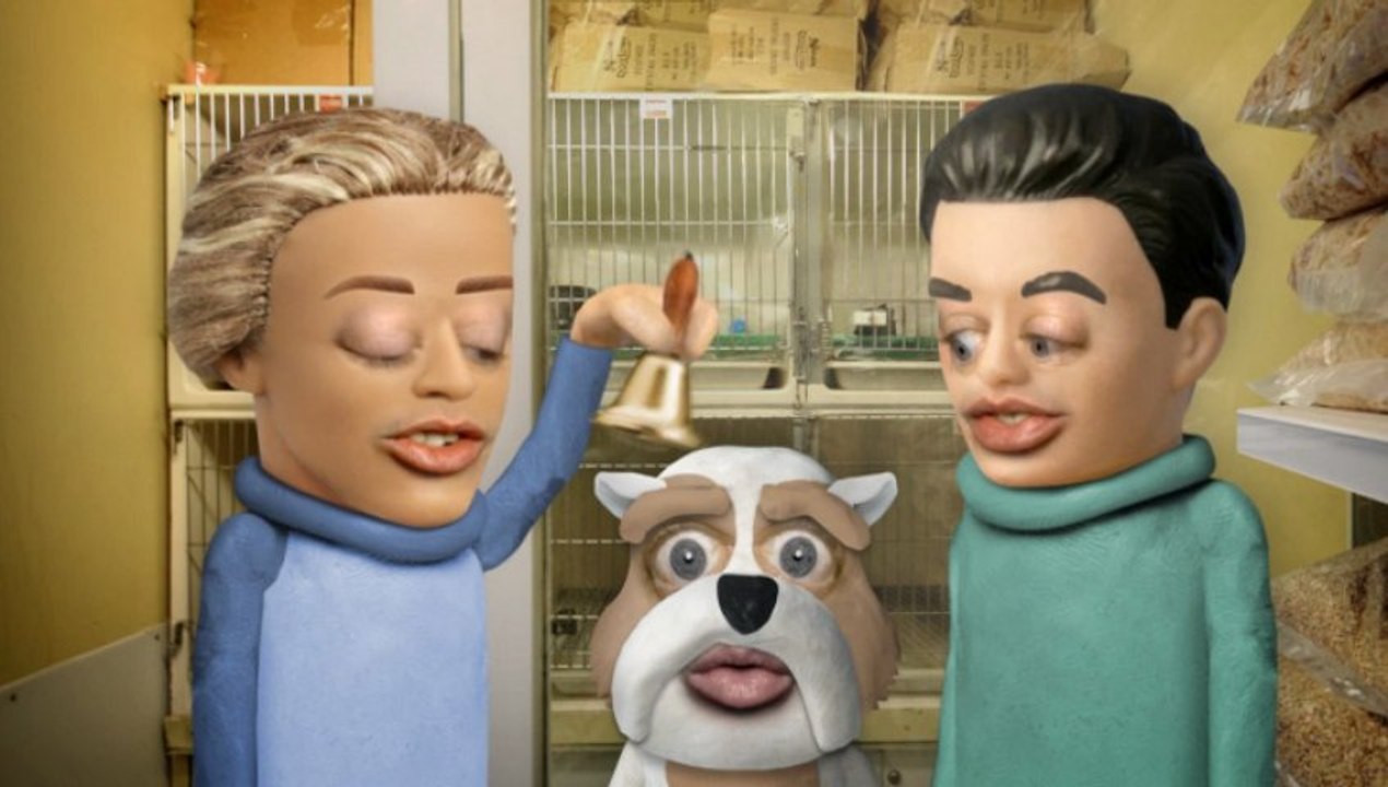 Le Shih Tzu (Tetesaclaques.tv)