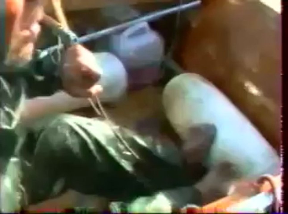 Les jumeaux de la mer, partie 1