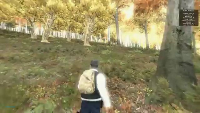 Мэддисон- Мнение о DayZ (не обзор)