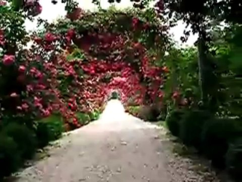 온라인경륜 ❤卐➳ ✯♛ ☛ GGO233.COM ☚ ♛✯➳ 卐❤ 생방송바카라