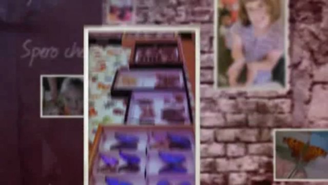 Ideas For Kids Birthday Parties