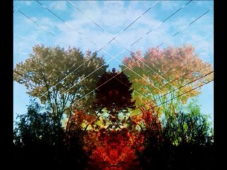 Chemtrails (Operation Paul Revere InfoWars.com Contest)