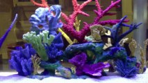 Orange Park, FL. Aquatic Care, Aquarium Designs 904-588-2700 Orange Park, Florida.