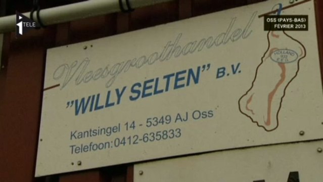 Du cheval dans 50 000 tonnes de boeuf?