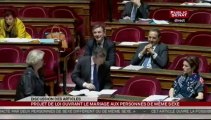 SEANCE, Mariage pour tous - l'après midi du 10 avril 2013