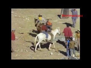 Her Agacin Kurdu Özünden Olur _ Tonguç Vural