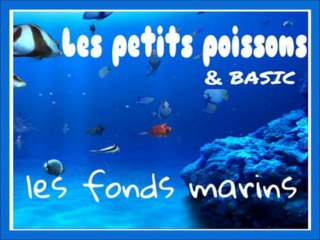 Basic et les petits poissons - les fonds marins