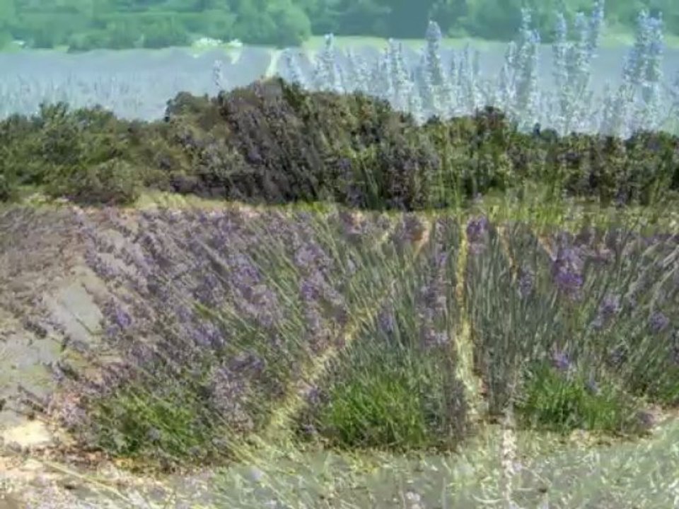 ARDECHE - Juillet 2007