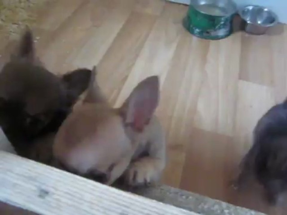 Vidéo, de la petite Ivana!