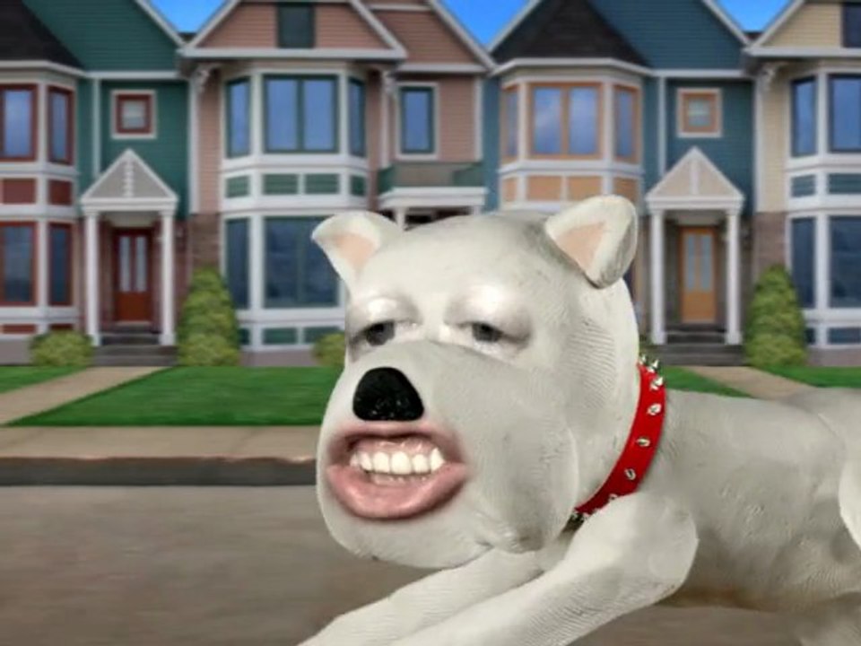 Le chien (Tetesaclaques.tv)