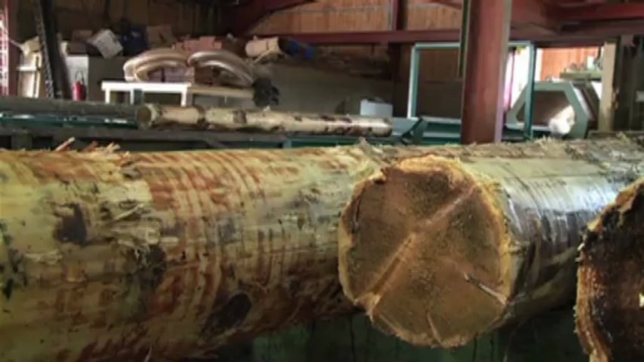 Pour vous en Pays de Savoie : "Marque Savoie"