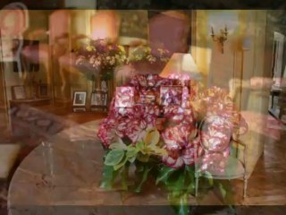 CHATEAUX DE LA LOIRE - Juillet 2008