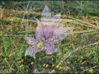 Musa eroğlu sarı yaylam