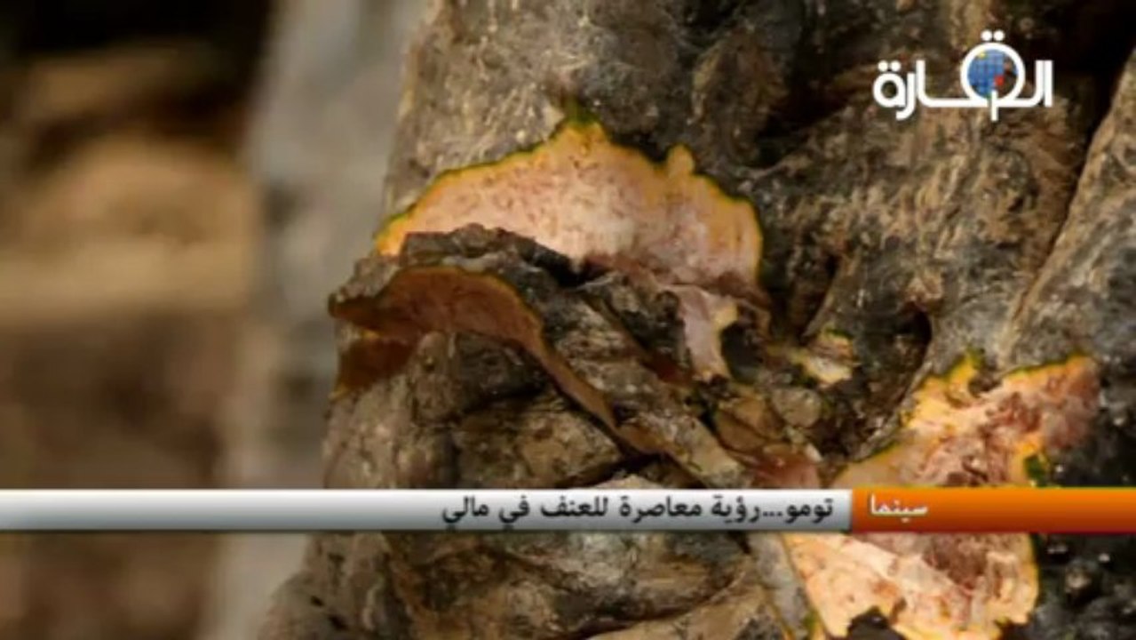 تومو - رؤية معاصرة للعنف في مالي