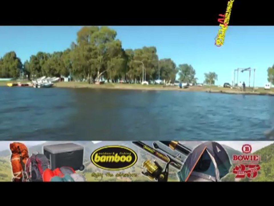 Panorama TV 121