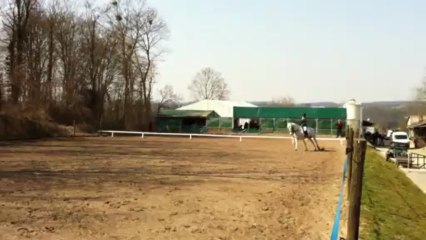 dressage club 1 GP