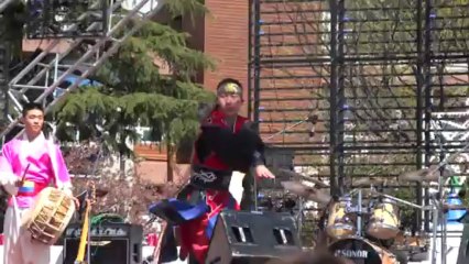 Arts Martiaux : Techniques et Styles
