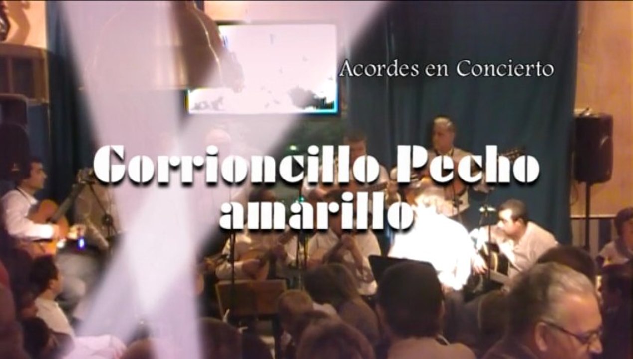 Gorrioncillo