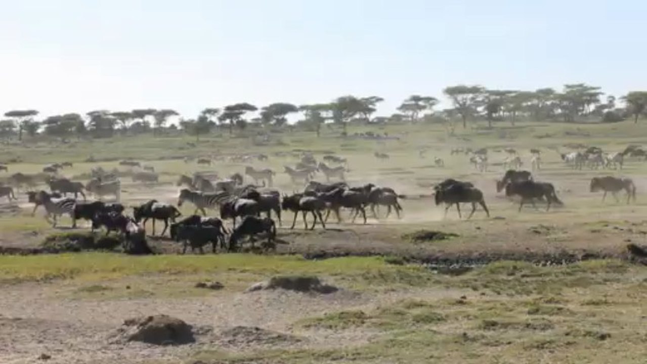 Voyage en Tanzanie sur mesure avec Meltour