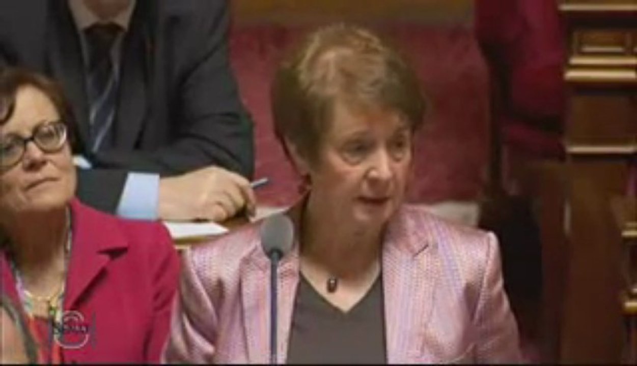 QAG de Catherine Tasca sur l'exception culturelle (11 avril 2013)