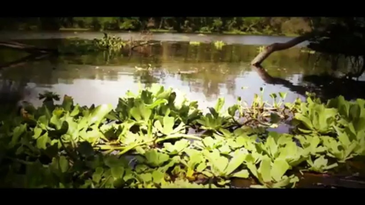 Nirina Sulette - Fé Alé