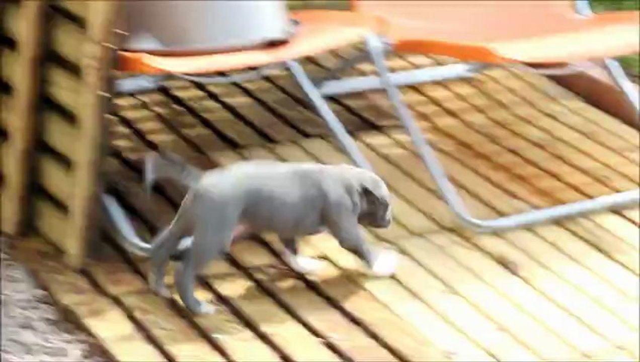 La sortie au soleil des ptits staff