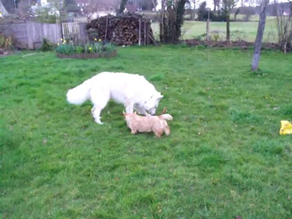 vidéo Heidi et Falko