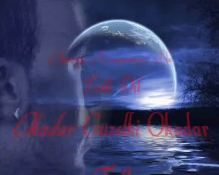 Sevmeyi Ögretemedim