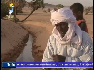 TCHAD REGIONS : OUADDI DOM SUR TOL