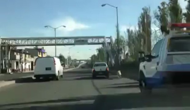 Un chien abandonné court après la voiture de sa maîtresse