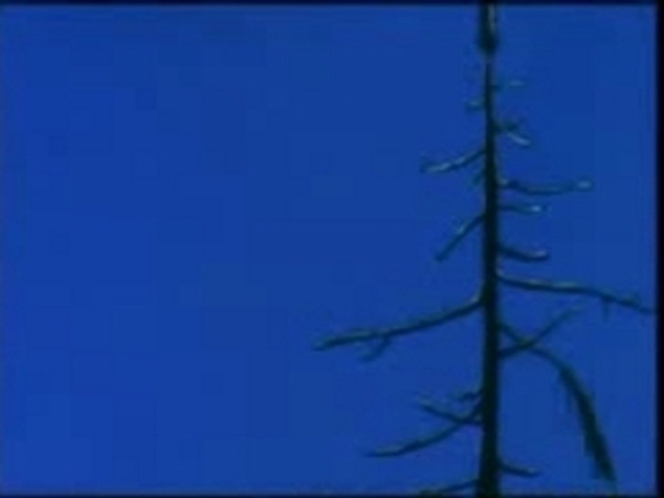 AMV DBZ ROCK METAL ANIME GIRLS