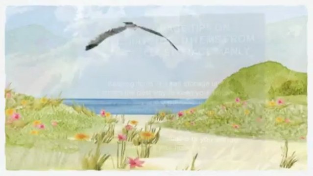 4 Self Storage Tips on Protecting Stored Items from Damage - Self Storage Manly