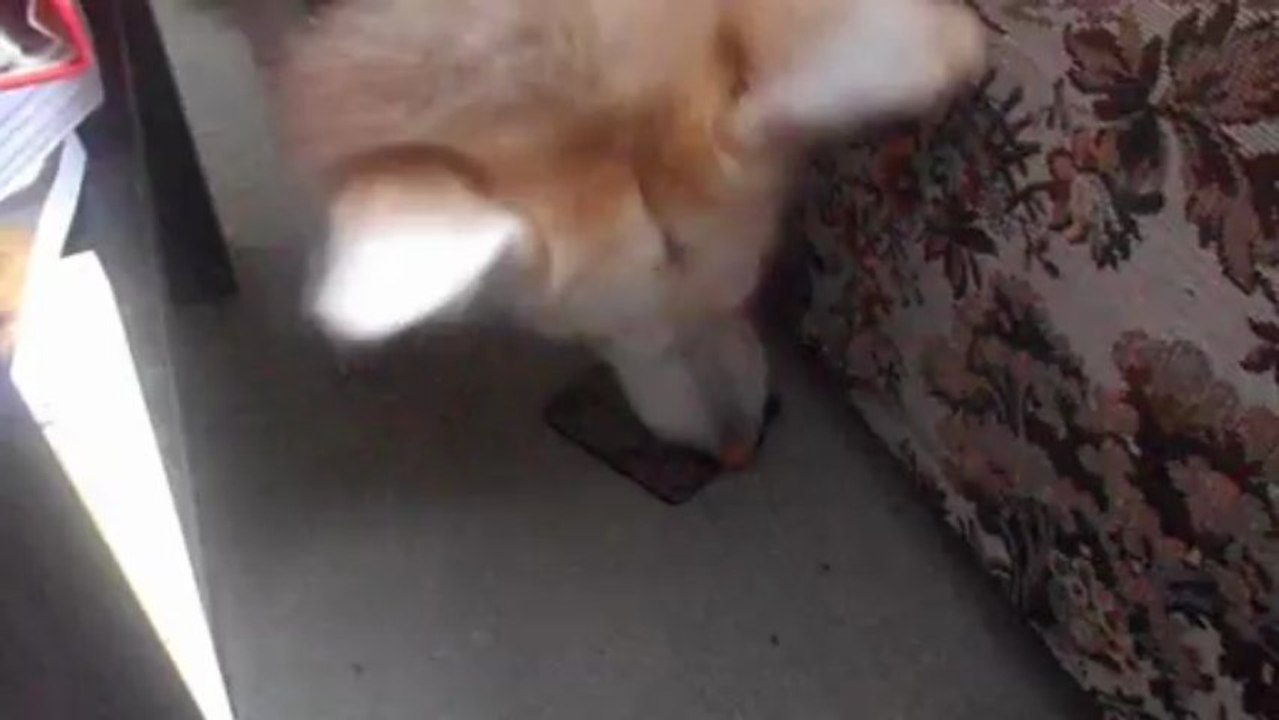 Picking up coaster