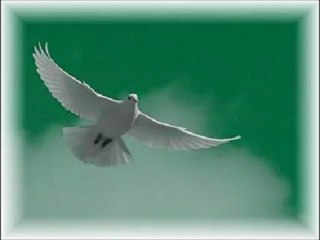 A Song to the Peacemakers by The Electric Trunk