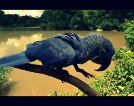 sesliomrumnefesim,İntizar - doğum günü - yeni albüm 2013 -internette ilk kez - kolaj serbülent öztürk - YouTube, sesliomrumnefesim.com,