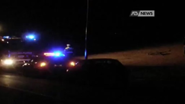 INCIDENTI CON ANIMALI SELVATICI, BUONE NOTIZIE