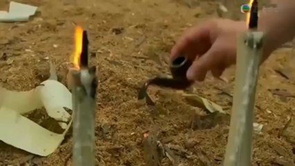 天佑女皇出現於公仔箱中