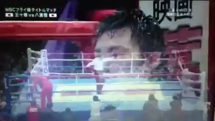 2013-04-08 Toshiyuki Igarashi vs Akira Yaegashi