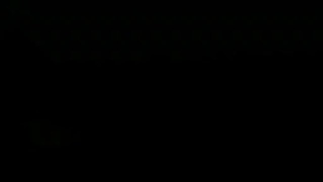 1304 alma sans roulettes