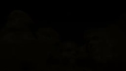 Les armes à feu aux États-Unis