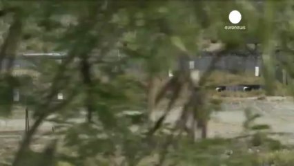 Vanishing emails and hunger strikers force Guantanamo...