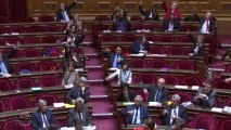 Le Sénat adopte le texte sur le mariage pour tous