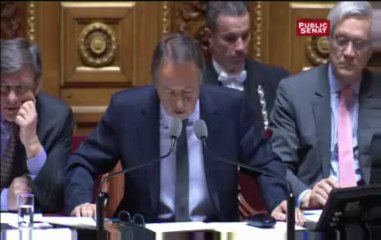 Le Sénat dit «oui» au mariage et à l’adoption pour les couples homosexuels