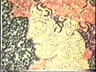 Alexander's Campaign - Episode 7