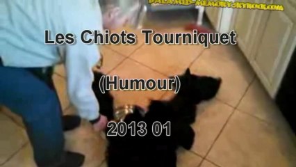 chiots-tourniquet (humour)