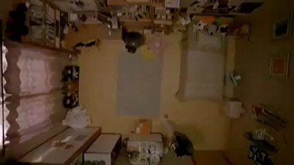 정선바카라 ❤卐➳ ✯♛ ☛ GGO233.COM ☚ ♛✯➳ 卐❤ 맥심카지노